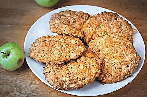 Biscuits à l'avoine pour la gastrite: est-il possible de manger avec une maladie de l'estomac avec une acidité élevée et faible, des recettes de cuisson avec des photos