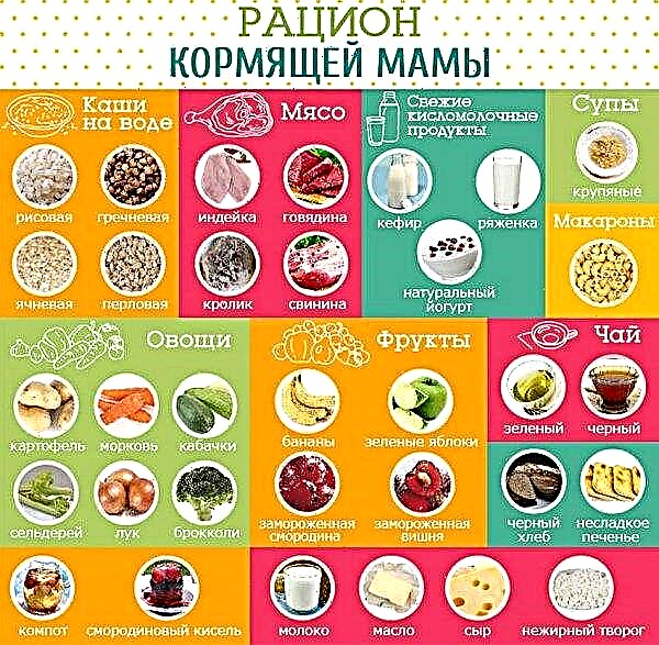 Tatar rinnaga toitmiseks: kas esimesel kuul on võimalik kasutada imetavat ema, kuidas valida tatar HS-i jaoks, imetamise dieet
