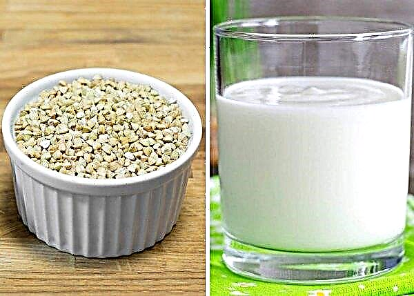 Kefir con grano saraceno per il pancreas: come cucinare e prendere terra e altri tipi di grano saraceno con kefir per pancreatite