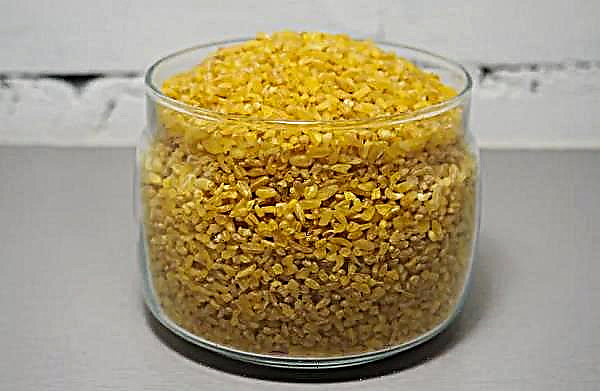 Bulgur: pšenična drobljenec, kako kuhati, koristi, morebitna škoda, sestava in recepti