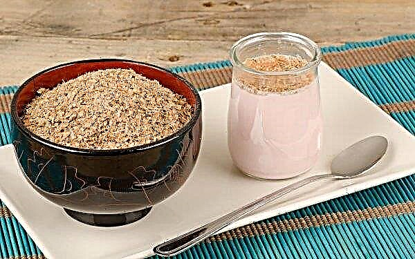 Cám mì để giảm cân: cách dùng, phương pháp sử dụng, lợi ích và tác hại, tốt hơn - lúa mạch đen, yến mạch hoặc lúa mì