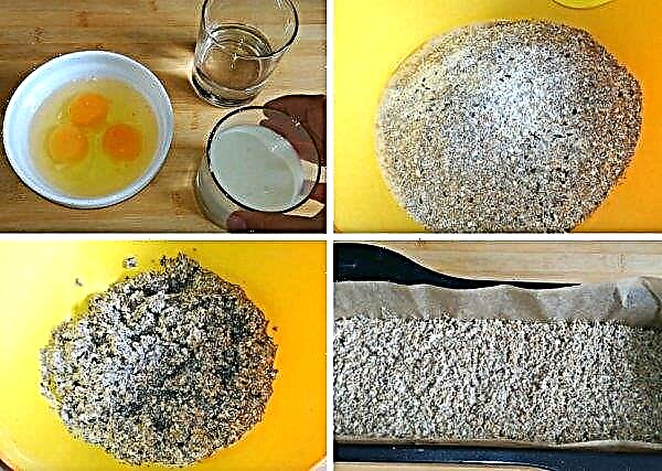 Quelle est la différence entre le mil et le blé: en quoi diffèrent-ils avec la photo, est-ce la même ou non, la description et les caractéristiques des céréales