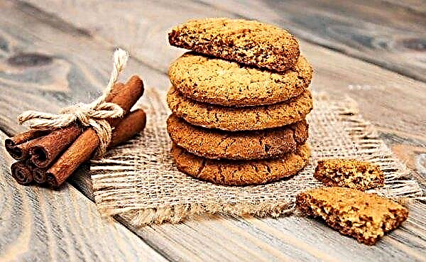 Oatmeal cookies for breastfeeding: recipes, is it possible with HB in the first month, is it possible to eat a nursing mother in the second month