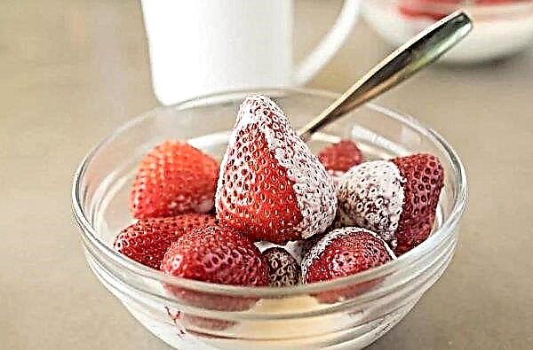 Gefrorene Erdbeeren: Nutzen und Schaden für die Gesundheit, Chemie und Kalorien