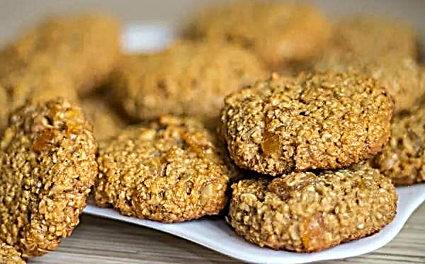 Вівсяне печиво для діабетиків: чи можна їсти при діабеті 1 і 2 типу, рецепти приготування в домашніх умовах, випічка без цукру на фруктозі