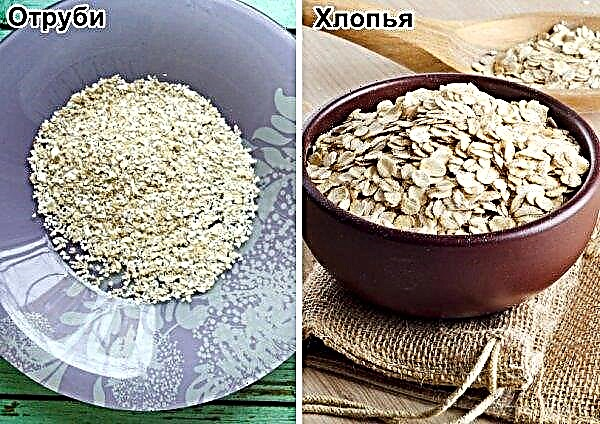 Oat bran: benefits and harms for the body, how to take, how they look, photos, composition, how to use to cleanse the intestines