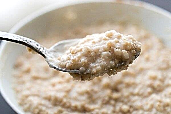 Oatmeal porridge with diarrhea: is it possible for adults and children to eat with diarrhea, why there is an upset stomach from oatmeal, which cereals cannot be used for diarrhea