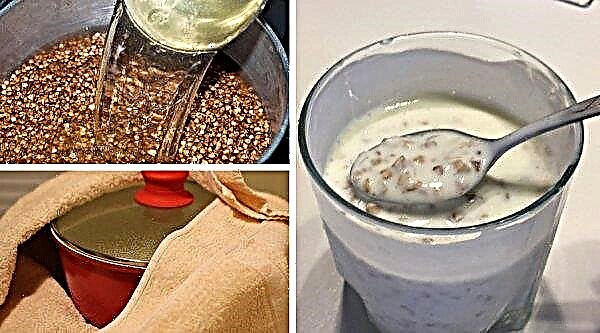 Cleansing the body with buckwheat and kefir: a scrub for the intestines, cleansing in the mornings and evenings, what it cleanses, reviews and results