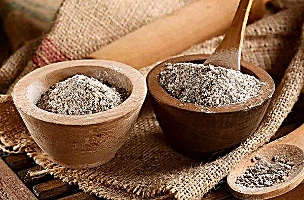 Buckwheat flour: benefit and harm, calorie content, composition and BZHU, what is useful for weight loss, use for ulcers and pancreatitis, is there gluten