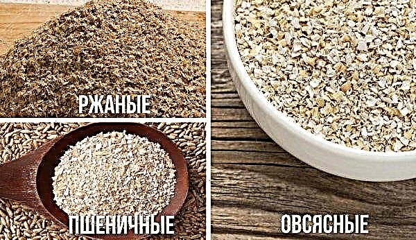 Comment prendre du son d'avoine pour perdre du poids: comment l'utiliser selon le régime Ducan, quel son est le meilleur - seigle, blé ou avoine, avis