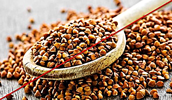 What can you eat buckwheat on a diet, is it possible to fruit with weight loss, what can I drink, a variety of diet
