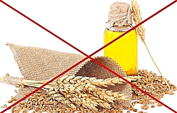 Wheat germ oil: its properties and the use of stretch marks during pregnancy, how to use for nails and body, the benefits and harms for men and women