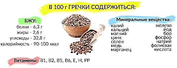 Onde é o berço do trigo sarraceno: a origem da planta, sua história, de onde veio o trigo sarraceno quando apareceu na Rússia e na Europa