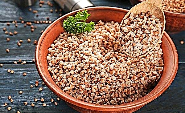 Buckwheat with diarrhea: is it possible to use an adult and a child with diarrhea, with an upset stomach and intestines, benefits and harm