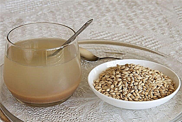 Composição, contém ou não glúten, propriedades úteis e medicinais, contra-indicações e qual a utilidade do cereal para a saúde humana