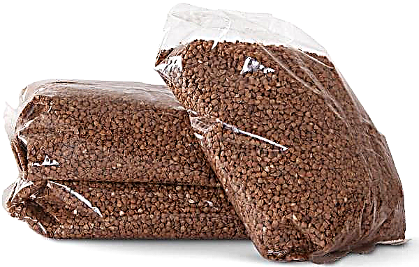 Como armazenar trigo mourisco: em casa, seco, verde, trigo mourisco cozido; Como posso descobrir que ele se deteriorou? Prazo de validade na embalagem