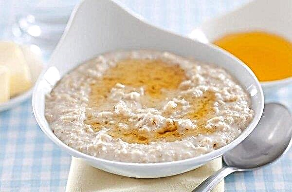 Oatmeal porridge in milk: calorie content and BZHU per 100 g, the benefits and harm to the body, how many calories with sugar and without oil, what is beneficial for humans