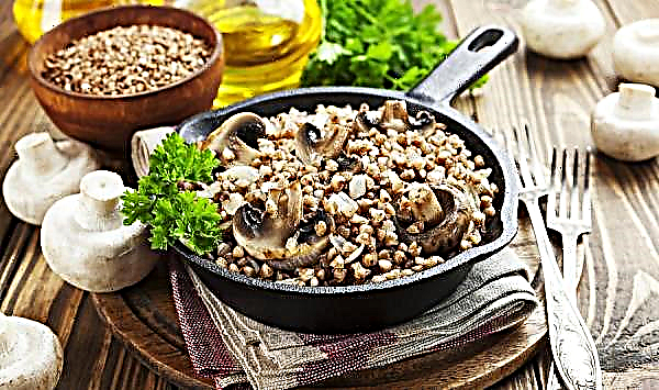 Buckwheat for weight gain: in bodybuilding, how to use before or after training, which is useful for athletes