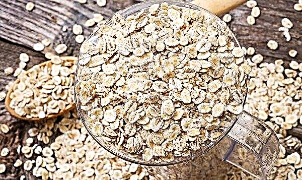 Barley flakes: manfaat kesehatan dan bahaya, cara memasak, dari usia berapa dapat diberikan kepada anak-anak, digunakan dalam dietetika