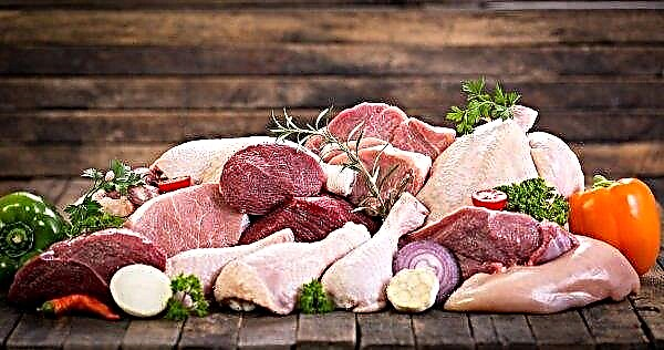 Aparecerá más carne argentina en Rusia