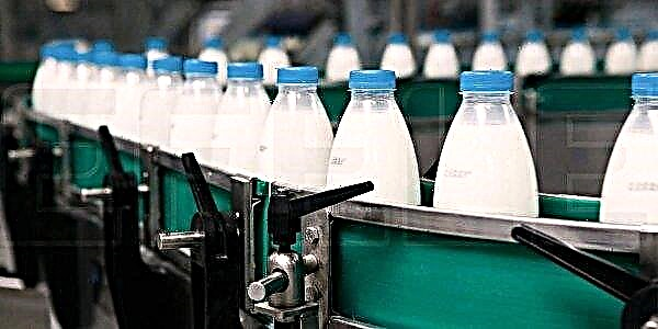 बेलारूस की योजना दूध उत्पादन में उल्लेखनीय वृद्धि करने की है