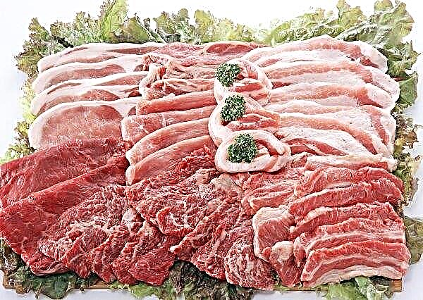 Les bouchers de Krasnoïarsk ont ​​tenté de vendre 4 tonnes de porc infecté par la listériose