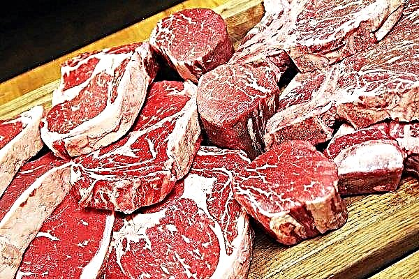 De Russische markt verwacht een toestroom van Boliviaans vlees