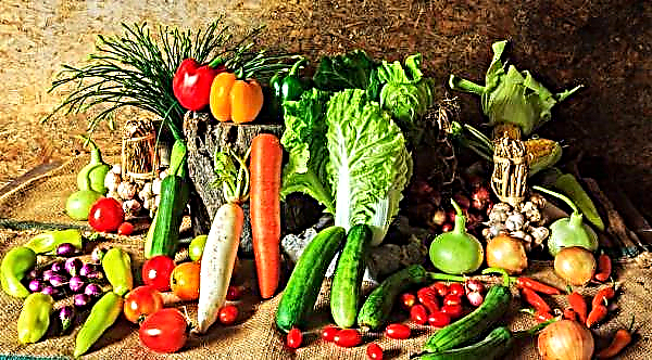 Ungarisches Gemüse zur Unterstützung des Immunsystems