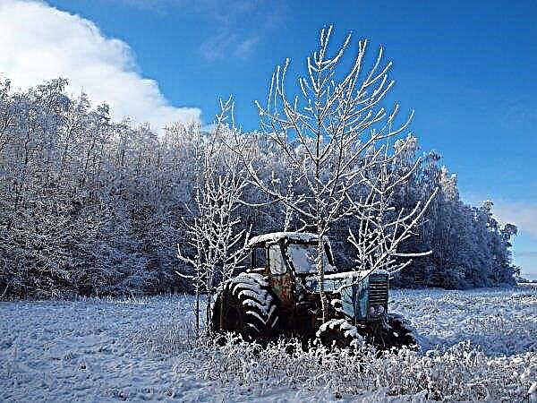 Ruska polja obljubljajo udoben konec leta