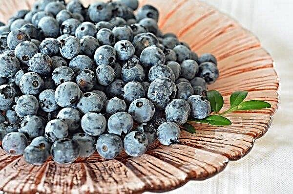 Ukrainian blueberries are getting cheaper again