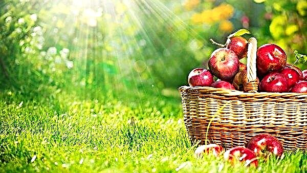 Ucrânia quase interrompeu as importações de maçã