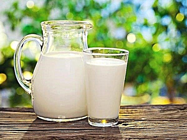 زادت روسيا إنتاج الحليب إلى 15.2 مليون طن