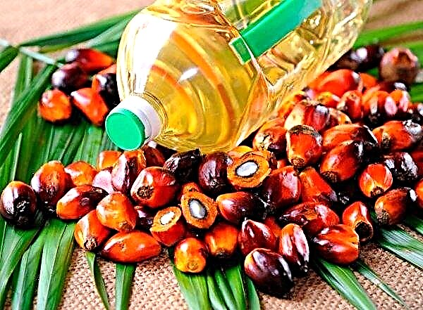 Kitajska bo povečala uvoz malezijskega palmovega olja in investirala v obrat za biogorivo