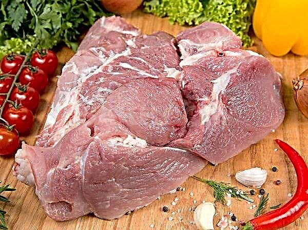 I Ural föreslår de att bearbeta kött med ultraljudsvågor