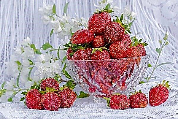 Strawberry supply on the markets of Western Ukraine is 2.5 times less than last year