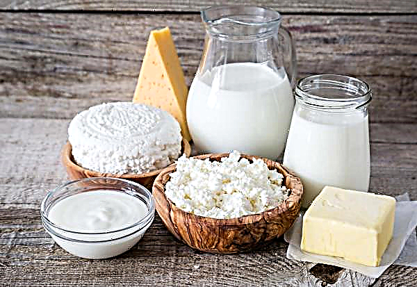 Pogon za proizvodnju mliječnih proizvoda s regije Kirov napravio je korak ka modernizaciji