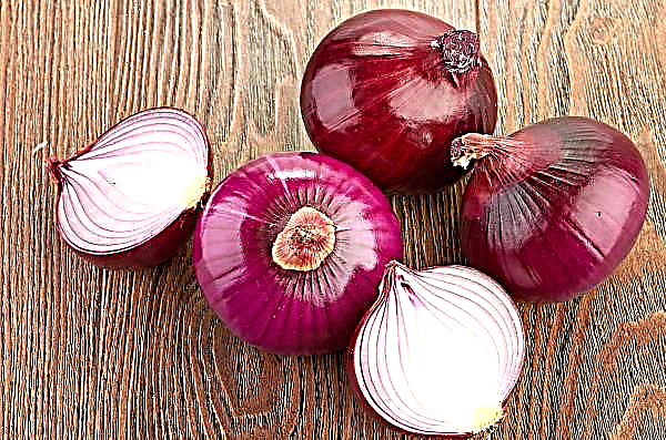German farmers are testing a new type of onion storage