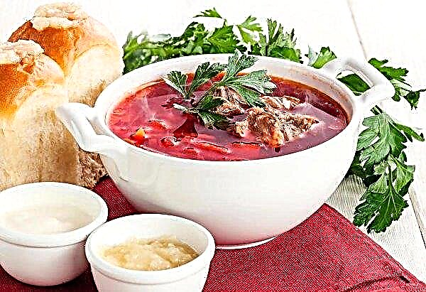 In the spring of 2019, Ukraine actively imported vegetables of “borsch set”