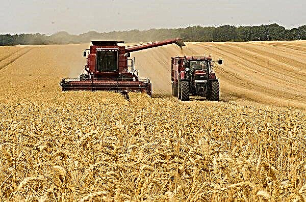 Η Poroshenko προβλέπει ένα μεγάλο μέλλον στην Ουκρανία στην παγκόσμια αγορά γεωργικών προϊόντων