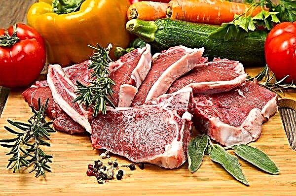 I Ukraina planlegger de å utvikle et kvalitetsmerke for svineproduksjon