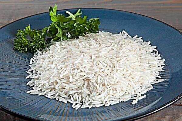 אגרנים של דגסטאן יהפכו מישורים נטולי חיים למטעי אורז