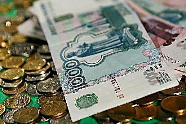 Kuban gardeners will share three million rubles
