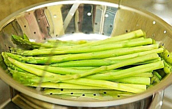 Asparagus for weight loss: calorie content and chemical composition, useful and harmful properties