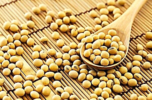 Brazilian soybean producers open Bayer market practice hotline