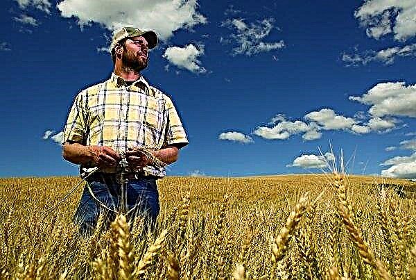 ABD'li çiftçiler araştırma merkezlerinin yeniden düzenlenmesine ve yer değiştirmesine karşı çıkıyorlar
