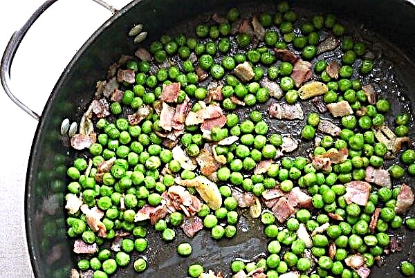 Catalan peas: Spanish housewives are delighted with the Ukrainian product