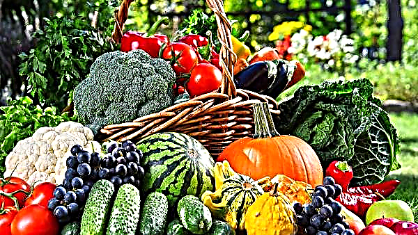 बल्गेरियाई राज्य कोष "कृषि" 16 और 17 मार्च को फलों और सब्जियों के लिए सब्सिडी हस्तांतरित करेगा