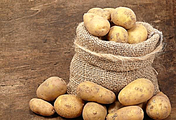 Producers demand termination of re-export of Russian potatoes to Ukraine