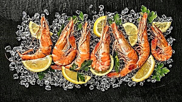 Glory to the fishermen: in the Russian market - more and more domestic shrimp