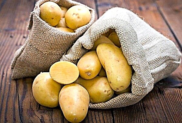 Potato prices rise in Eastern Europe